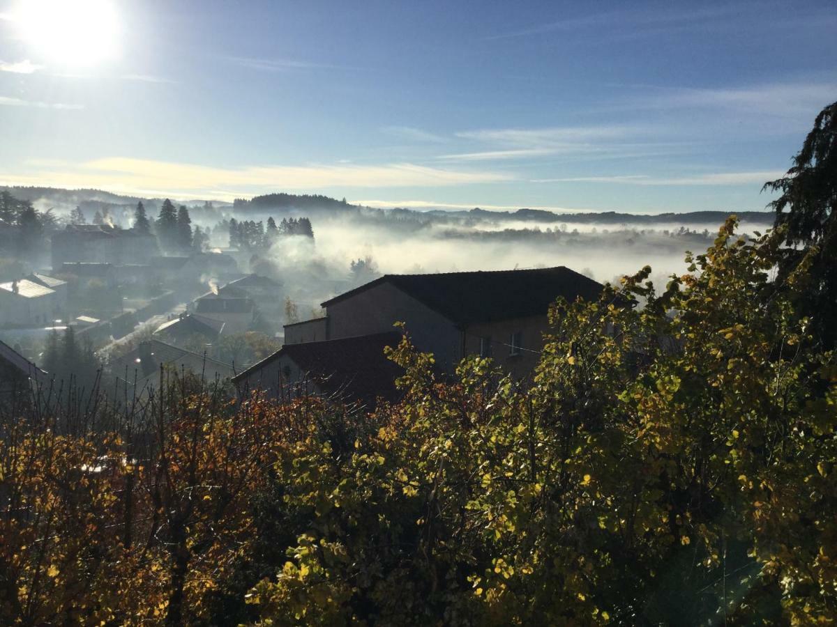 Les Marronniers Bed & Breakfast Saint-Didier-en-Velay Exterior foto